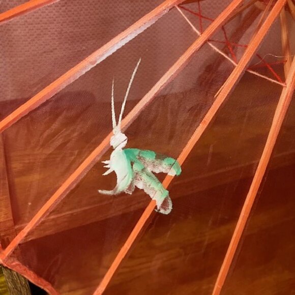 Vintage Transparent Red Fabric Parasol Floral with Butterflies Hand Painted 17"H - Picture 3 of 11